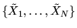 $\{\tilde X_1,\ldots,\tilde X_N\}$
