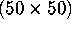 tex2html_wrap_inline442