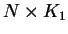 $N \times K_{1}$